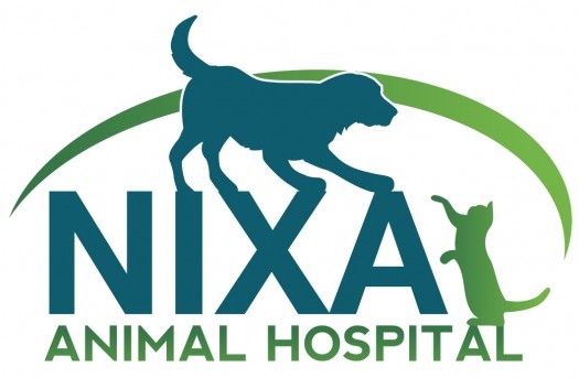 Nixa Logo