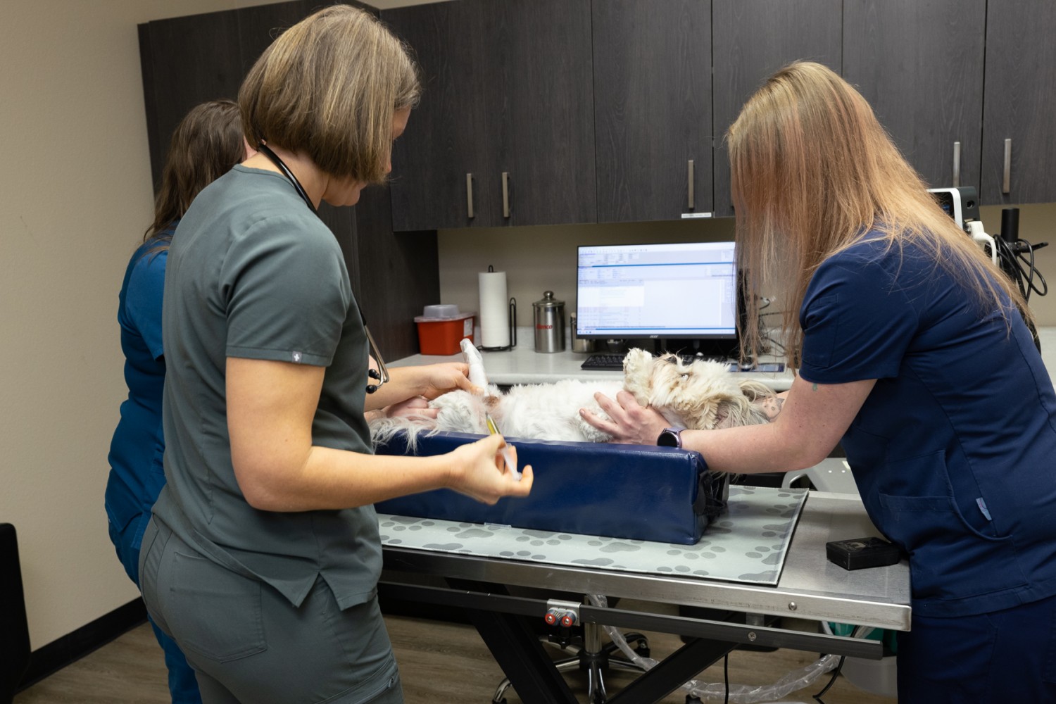Dr. Maggie ultrasounding a patient's abdomen