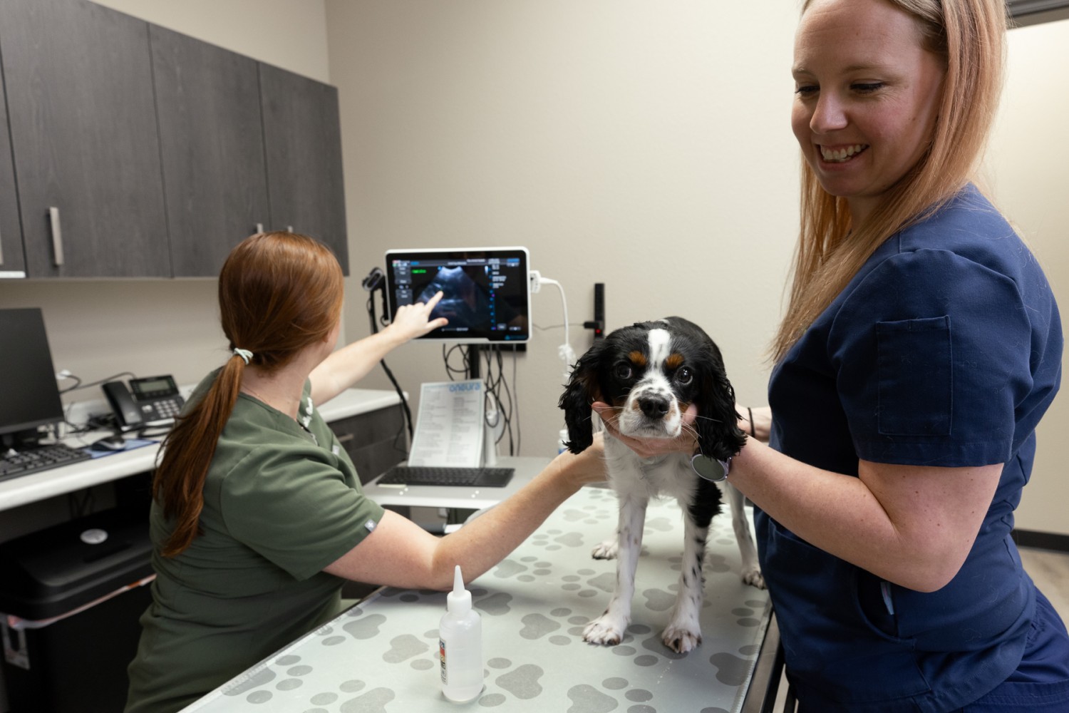 Dr. Molly ultrasounding a patient's thorax