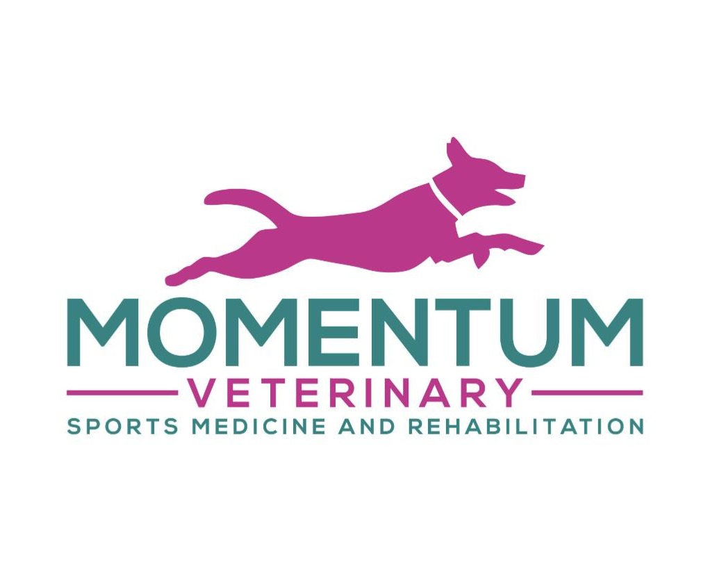 Momentum VSMR logo